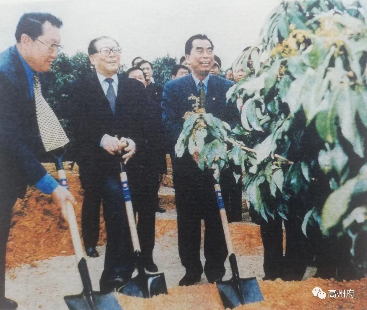YABO.COM亚搏电保-中国荔枝博物馆智慧用电改造